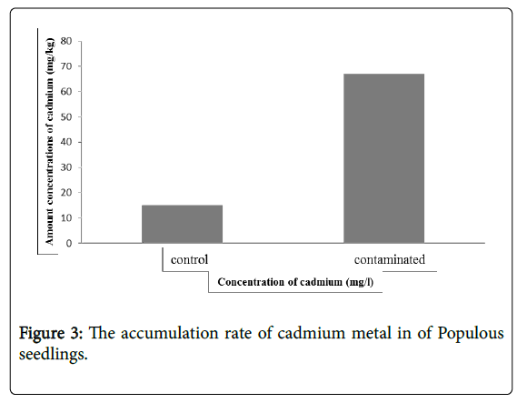 forest-research-cadmium-rate