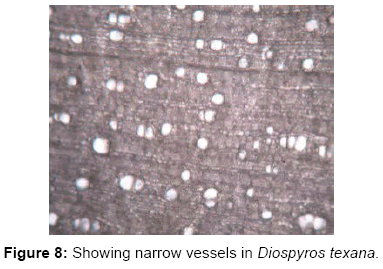 forest-research-open-access-Showing-narrow-vessels