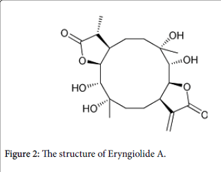 fungal-genomics-Eryngiolide