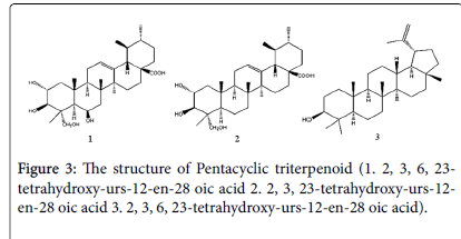 fungal-genomics-Pentacyclic-triterpenoid