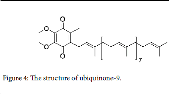 fungal-genomics-ubiquinone