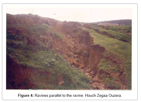 geography-natural-disasters-ravine