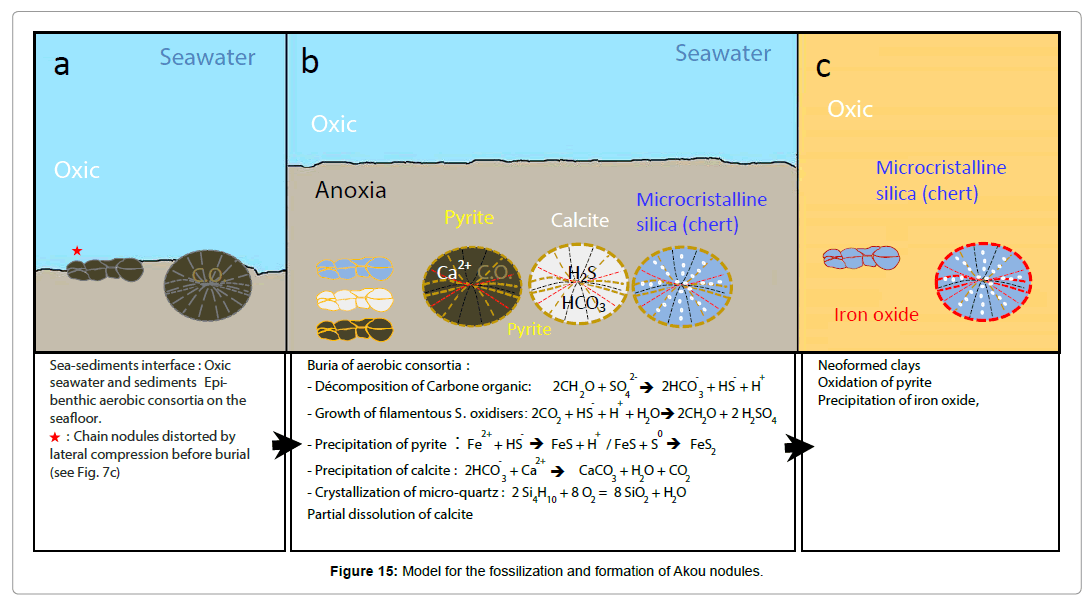 geology-geosciences-Akou-nodules