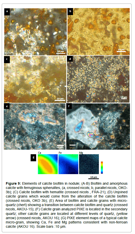geology-geosciences-Elements-calcite-biofilm