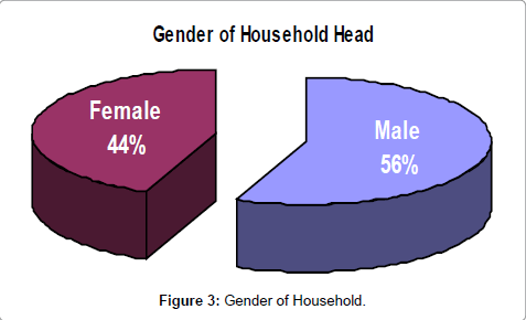 geology-geosciences-Gender-Household