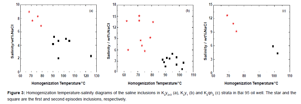 geology-geosciences-Homogenization-temperature-salinity