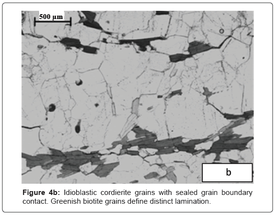 geology-geosciences-Idioblastic-cordierite