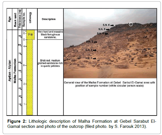 geology-geosciences-Lithologic-Malha-Formation