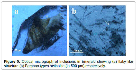 geology-geosciences-Optical-micrograph