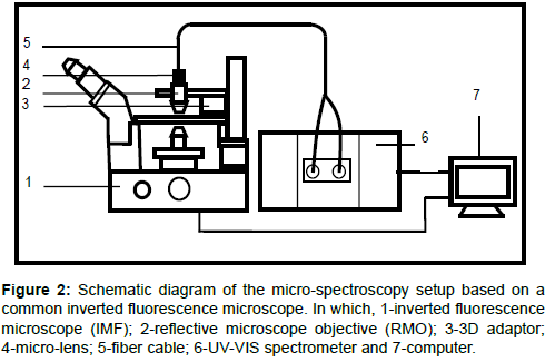 geology-geosciences-micro-spectroscopy-setup