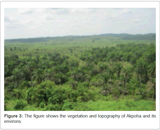 geology-geosciences-vegetation-topography