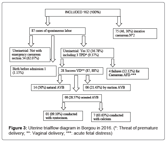 gynecology-Uterine-trialflow-diagram