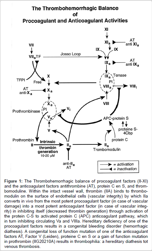 haematology-thromboembolic-procoagulant-factors