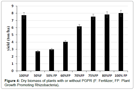 horticulture-biomass-plants