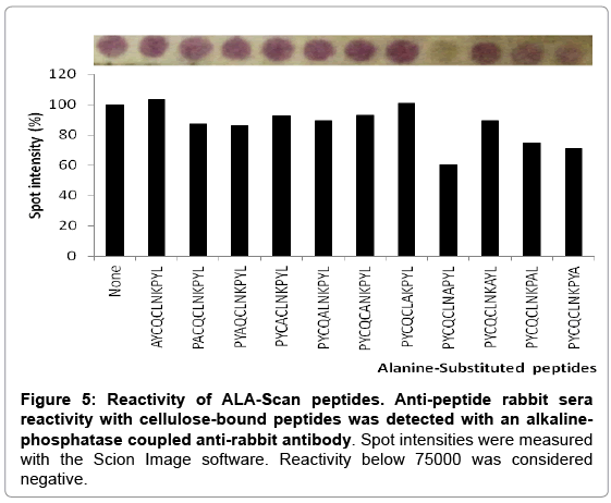 immunome-research-Spot-intensities-measured