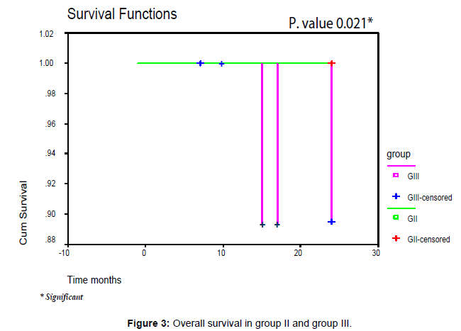leukemia-Overall-survival-group