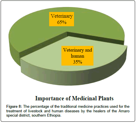 medicinal-aromatic-plants-human-diseases