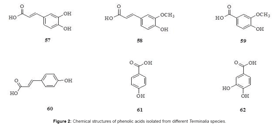 medicinal-aromatic-plants-phenolic-acids-isolated