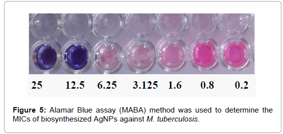 nanomedicine-biotherapeutic-Alamar-Blue