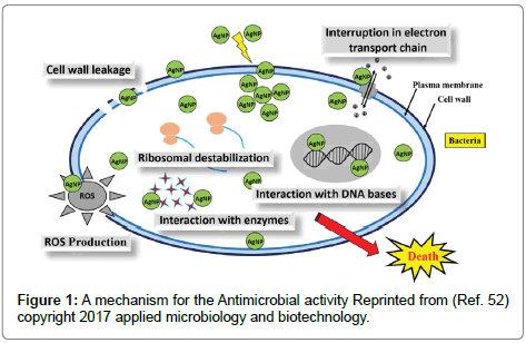 nanomedicine-biotherapeutic-discovery-Antimicrobial-activity