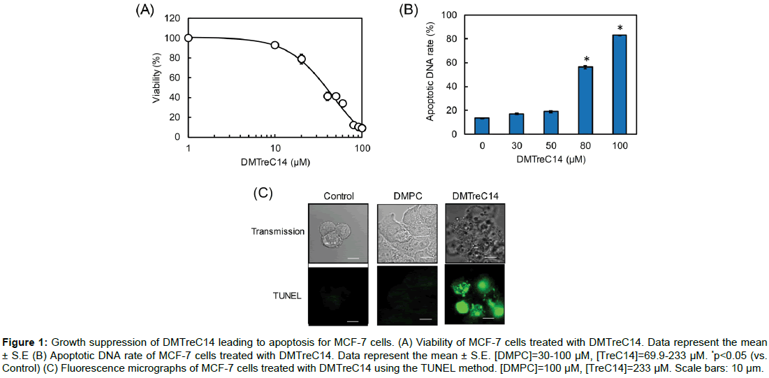 nanomedicine-biotherapeutic-discovery-Fluorescence-micrographs