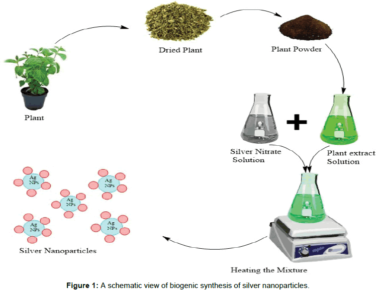 nanomedicine-biotherapeutic-discovery-biogenic-synthesis