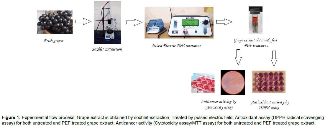 nanomedicine-biotherapeutic-discovery-treated-grape-extract
