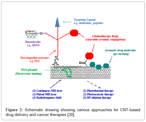 nanomedicine-biotherapeutic-drug-delivery