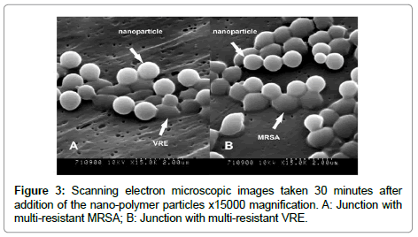 nanomedicine-biotherapeutic-electron-microscopic