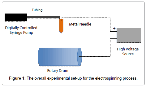 nanomedicine-biotherapeutic-electrospinning-process