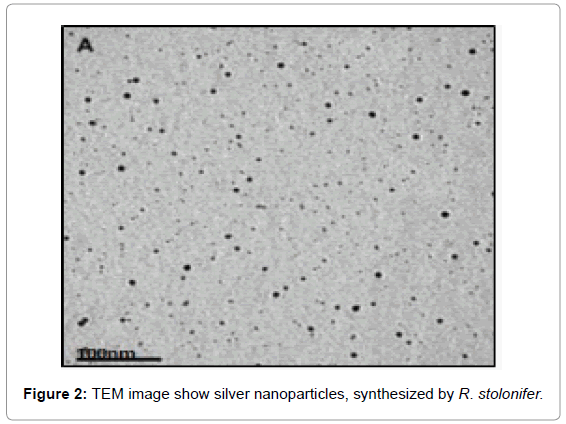 nanomedicine-biotherapeutic-silver-nanoparticles