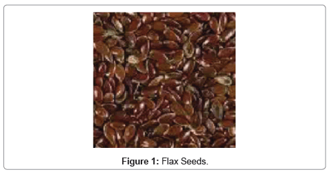 nutrition-food-sciences-Flax-Seeds