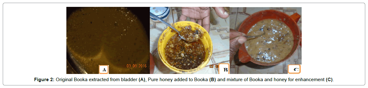 nutrition-food-sciences-Pure-honey