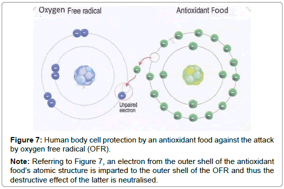 nutrition-food-sciences-cell-protection