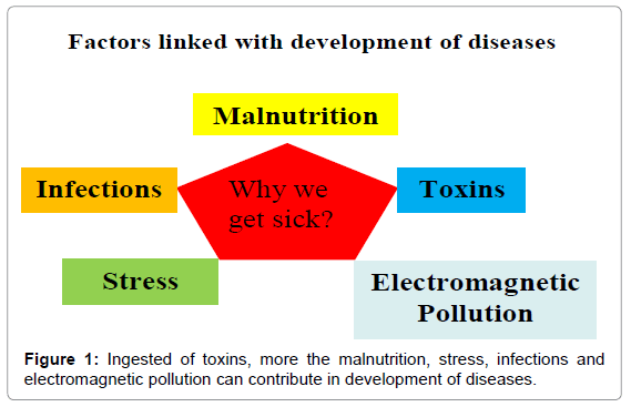 nutrition-food-sciences-contribute-development-diseases