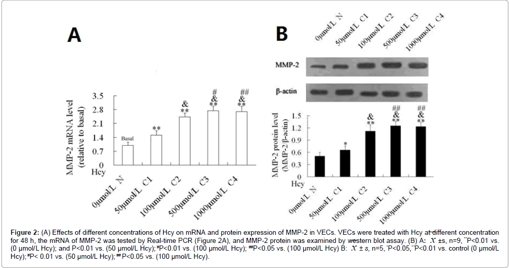 nutrition-food-sciences-protein-blot