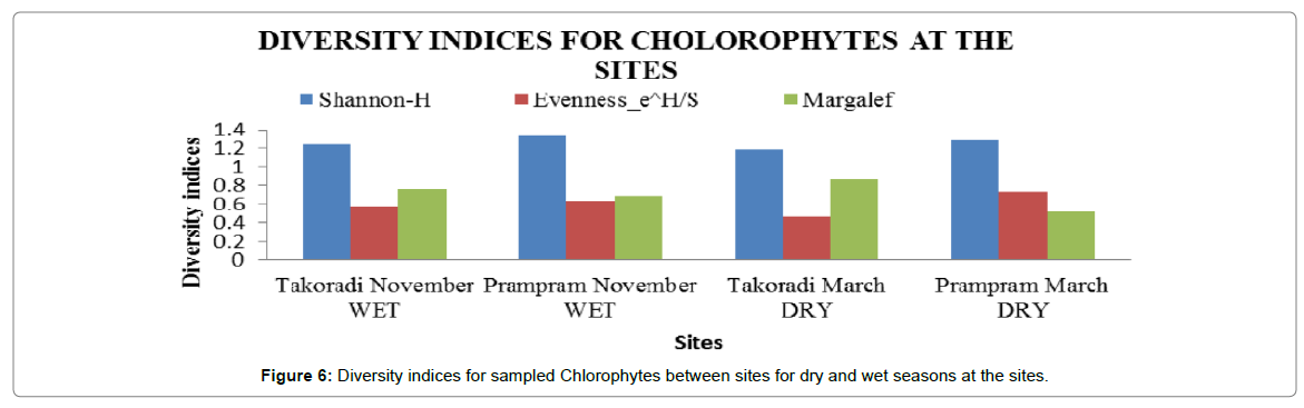 oceanography-marine-sampled-Chlorophytes