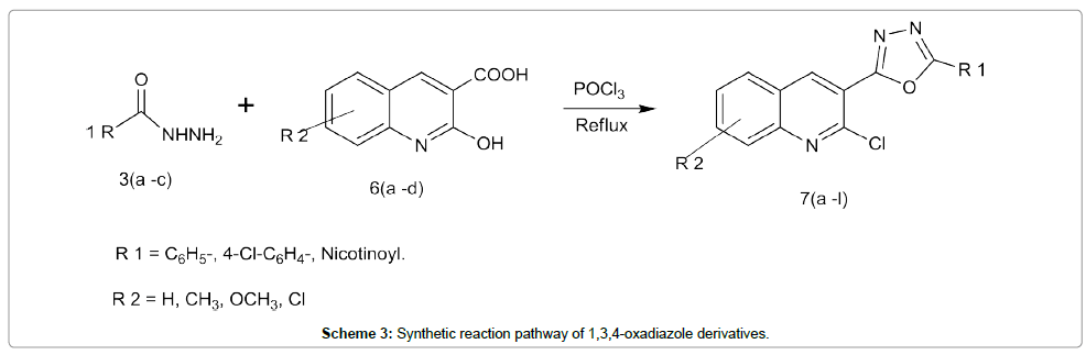 organic-chemistry-oxadiazole-derivatives