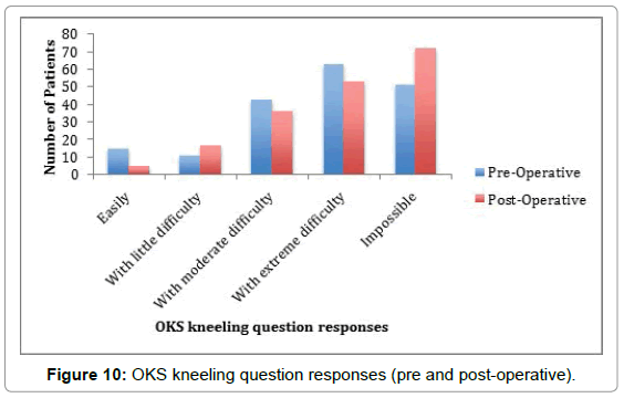 orthopedic-muscular-system-oks-kneeling-question-responses
