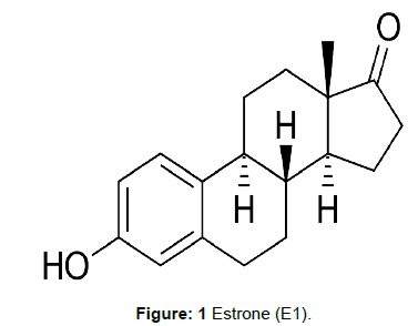 pharmaceutical-analytical-chemistry-Estrone