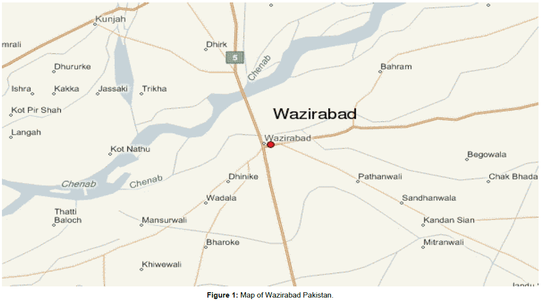 pharmaceutical-care-health-systems-Map-Wazirabad-Pakistan