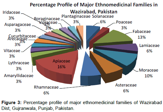 pharmaceutical-care-health-systems-major-ethnomedicinal-families