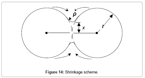 physical-chemistry-biophysics-Shrinkage-scheme