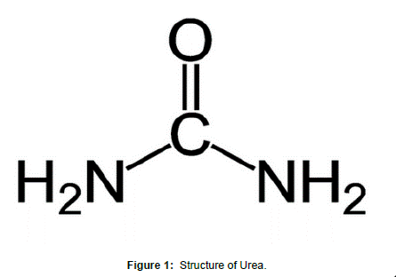 physical-chemistry-biophysics-Structure-Urea