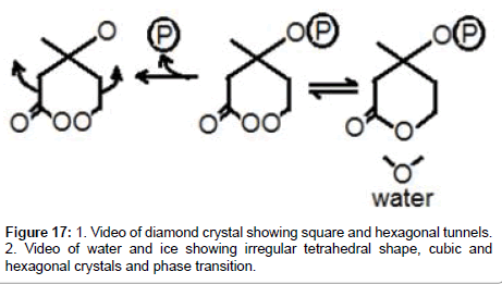 physical-chemistry-biophysics-hexagonal-tunnels