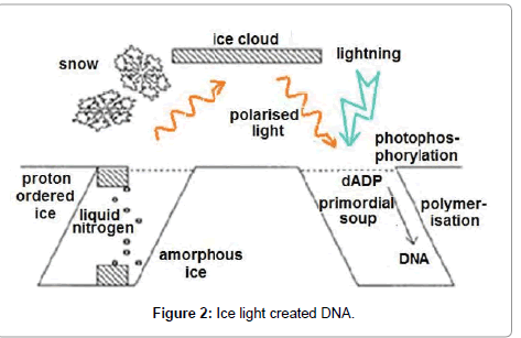 physical-chemistry-biophysics-light-created