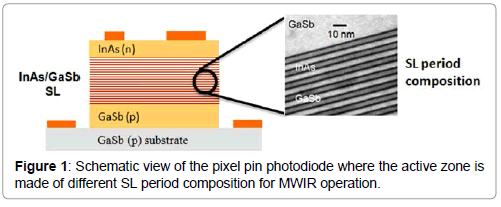 physical-chemistry-biophysics-pin-photodiode