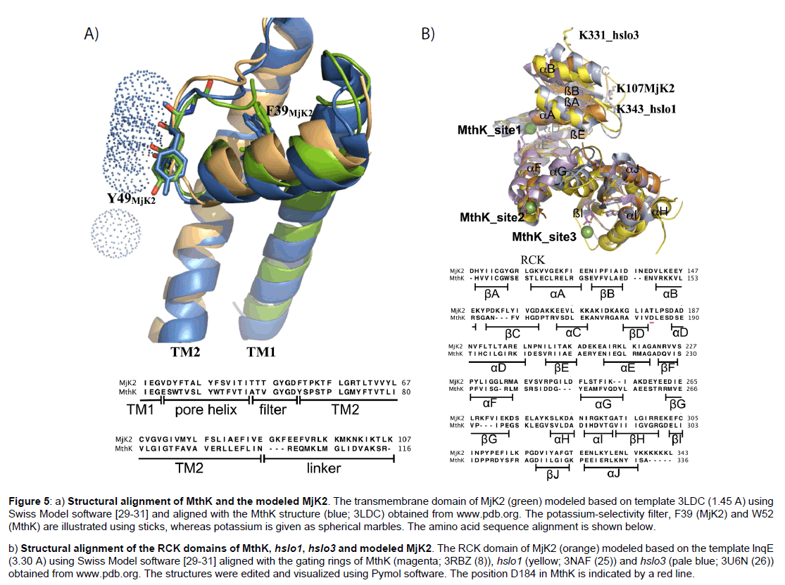 physical-chemistry-biophysics-transmembrane-domain