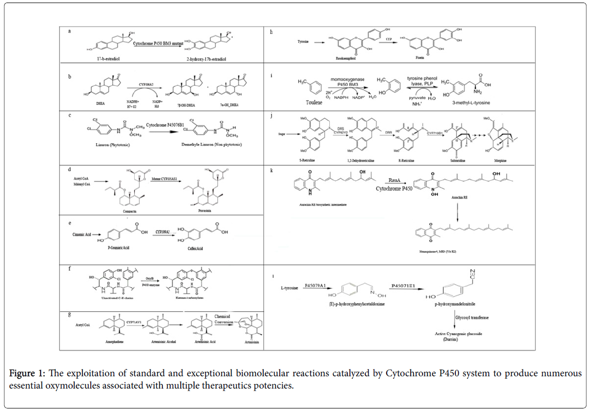 plant-biochemistry-physiology-biomolecular-reactions