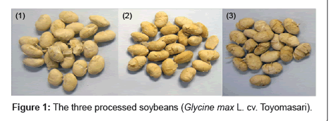plant-biochemistry-physiology-processed-soybeans
